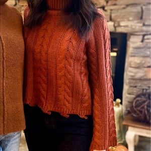 South Moon Under Cropped Turtleneck Sweater